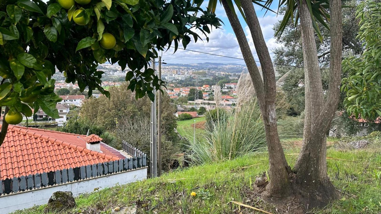 Cerca Do Casal Villa Santo Tirso Exterior foto
